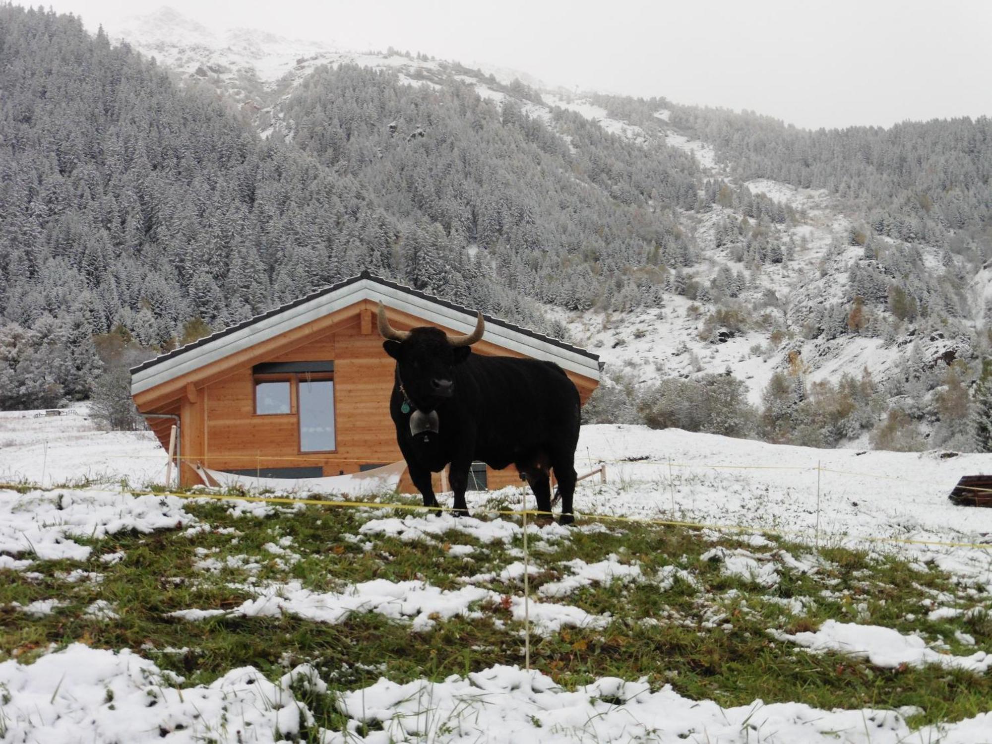 Hérémence La Cle Des Champs Bed & Breakfast エクステリア 写真